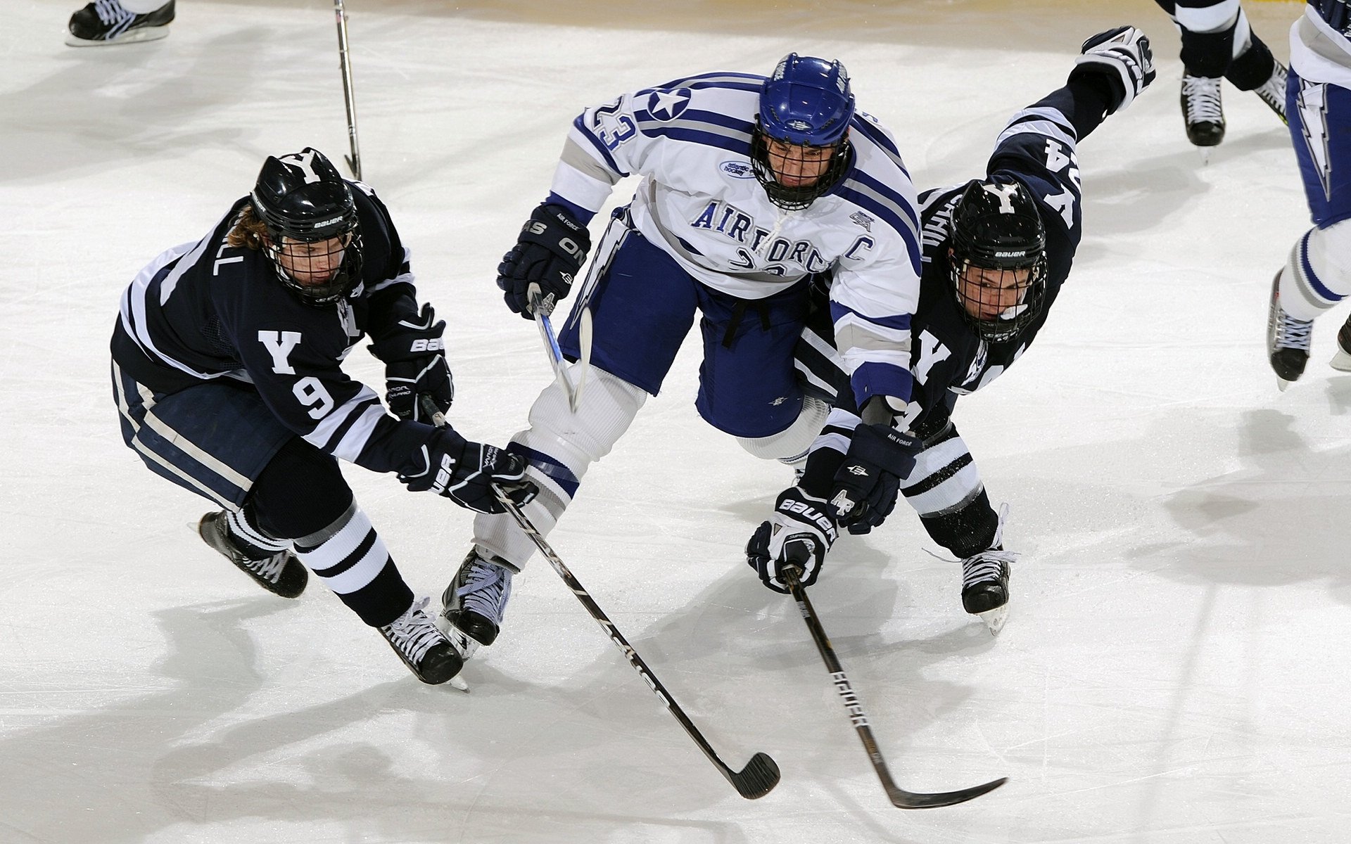 校园体育活动对学生社交能力的影响，学校体育对青少年的影响