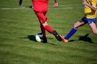 米兰体育网址-仰泳大战美队领先毫厘之间，仰泳比赛视频欣赏